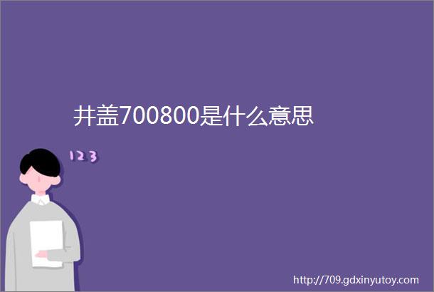 井盖700800是什么意思